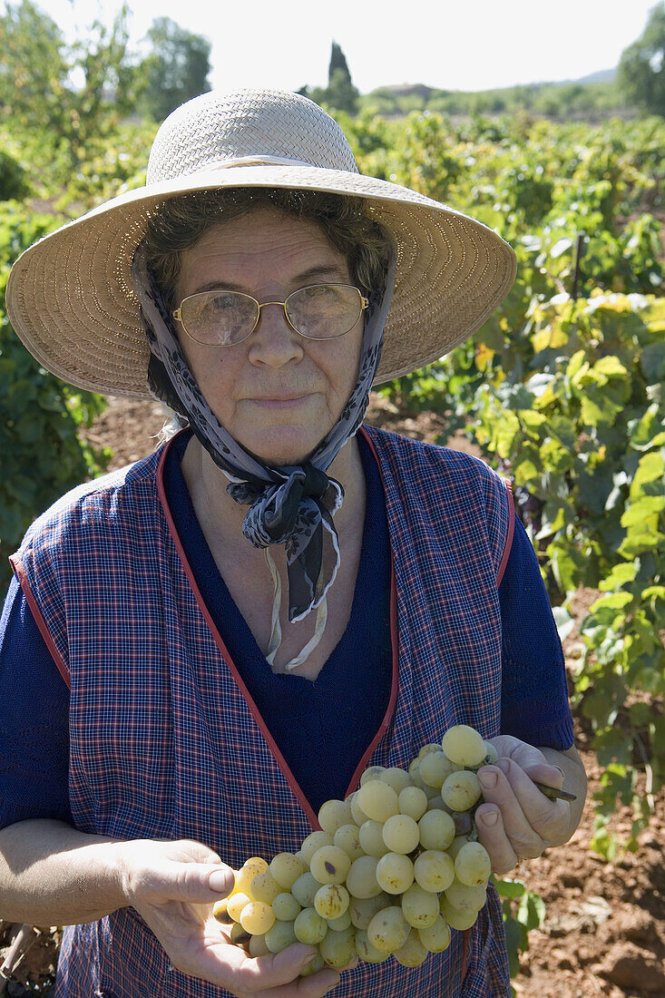 rs, 60-70 years, Adult, Adults, Agriculture, Bunch, Bunches, Color, Colour, Crop, Crops, Daytime, Exterior, Facial expression, Facial expressions, Facing camera, Farming, Female, Fifties, Fruit, Fruit