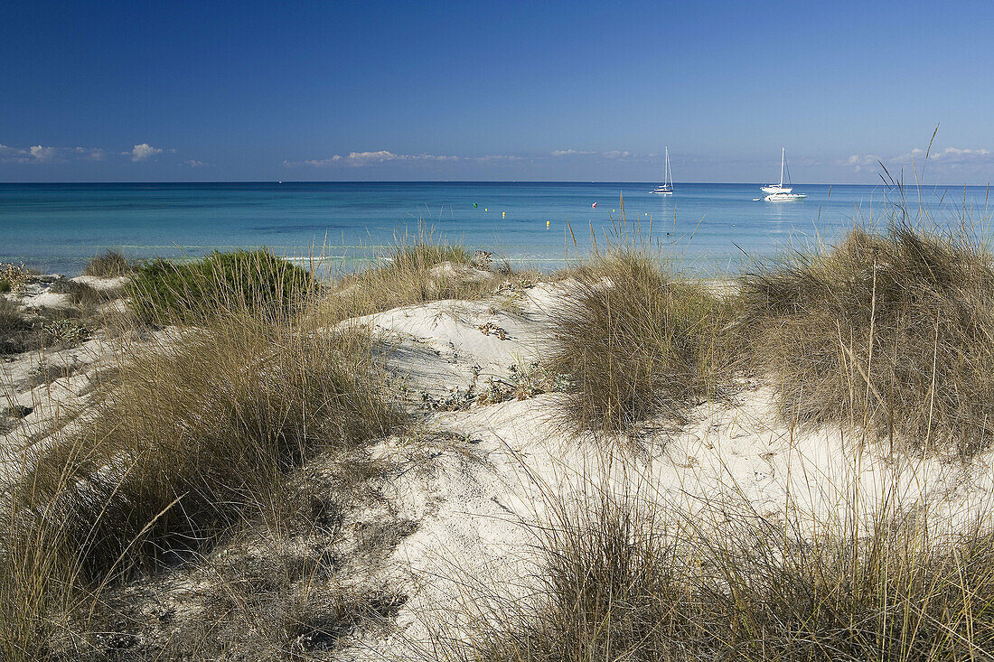 Es Trenc beach. Majorca, Balearic Islands. Spain