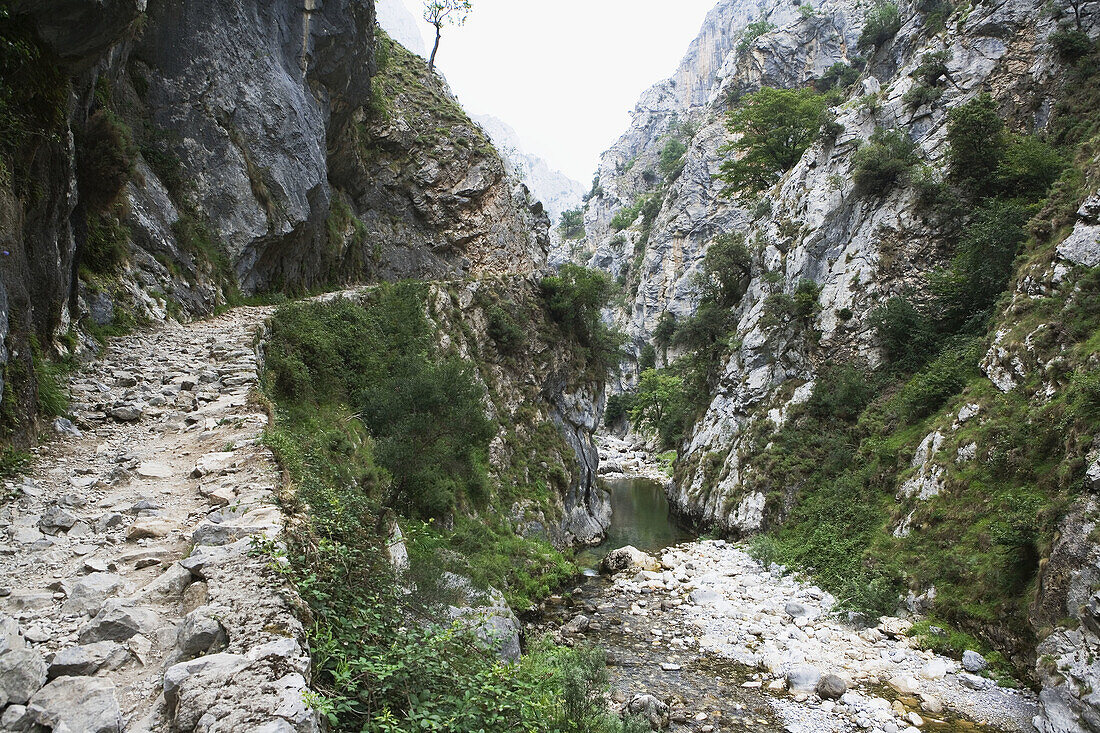 Cares River gorge. Picos de Europa National Park. Asturias. Spain