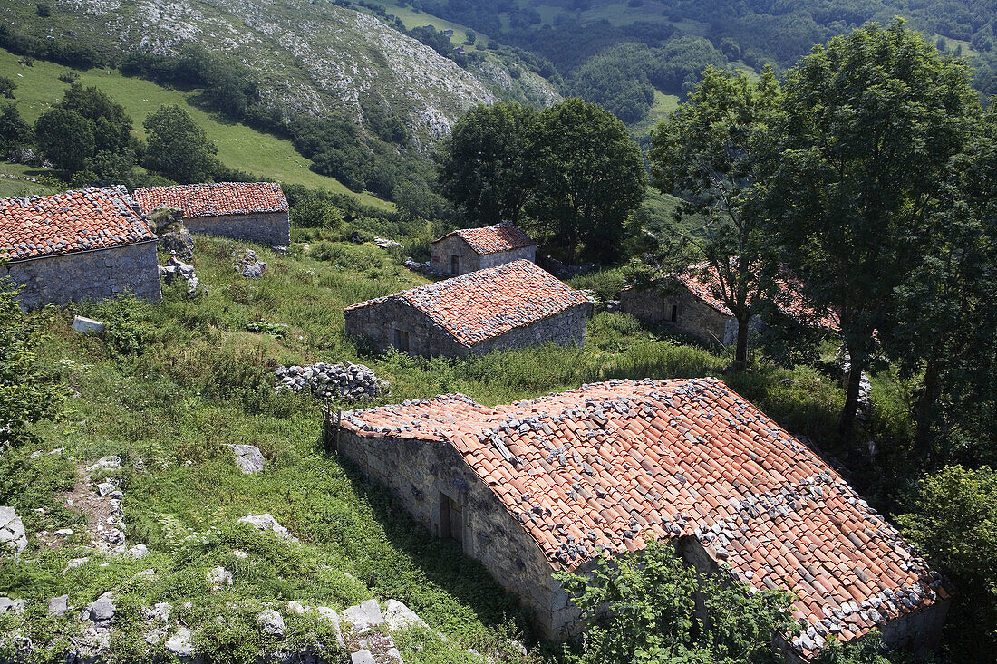 Invernales de Arnandes . Bulnes in Picos de Europa National Park. Asturias. Spain