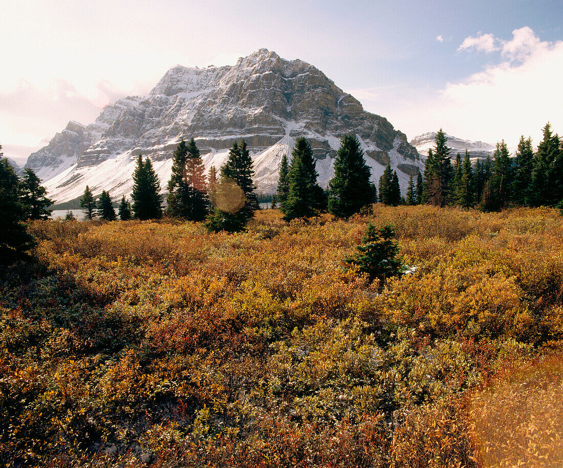 Mountain view at Bow lake. Banff National Park. Alberta. Canada