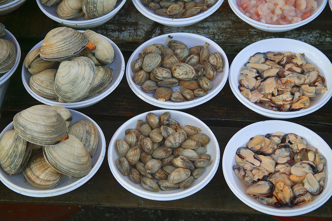 Selection of clams and mussels at Jagalchi Fish Market. Busan, Republic of Korea.