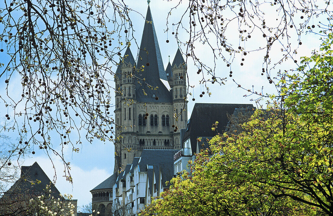 North-Westphalia, Cologne, (Germany). Springtime view of Gross St. Martin, the most prominent of Cologne s Romanesque churches.