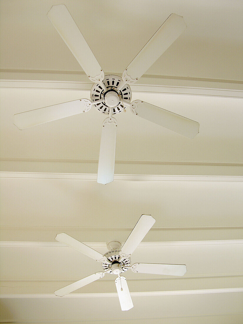  Beam, Beams, Ceiling, Ceilings, Color, Colour, Concept, Concepts, Detail, Details, Fan, Fans, Indoor, Indoors, Inside, Interior, Low angle view, Old fashioned, Old-fashioned, Pair, Stopped, Two, Ventilation, Ventilator, Ventilators, Vertical, View from b