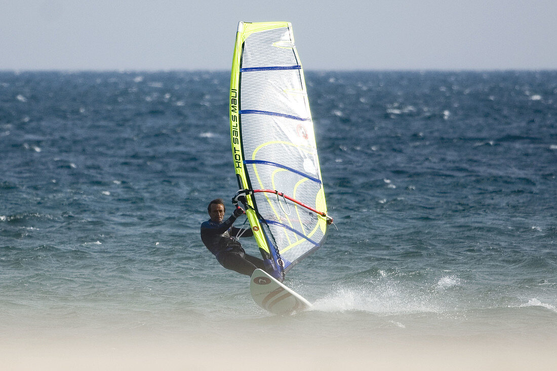 Windsurfer