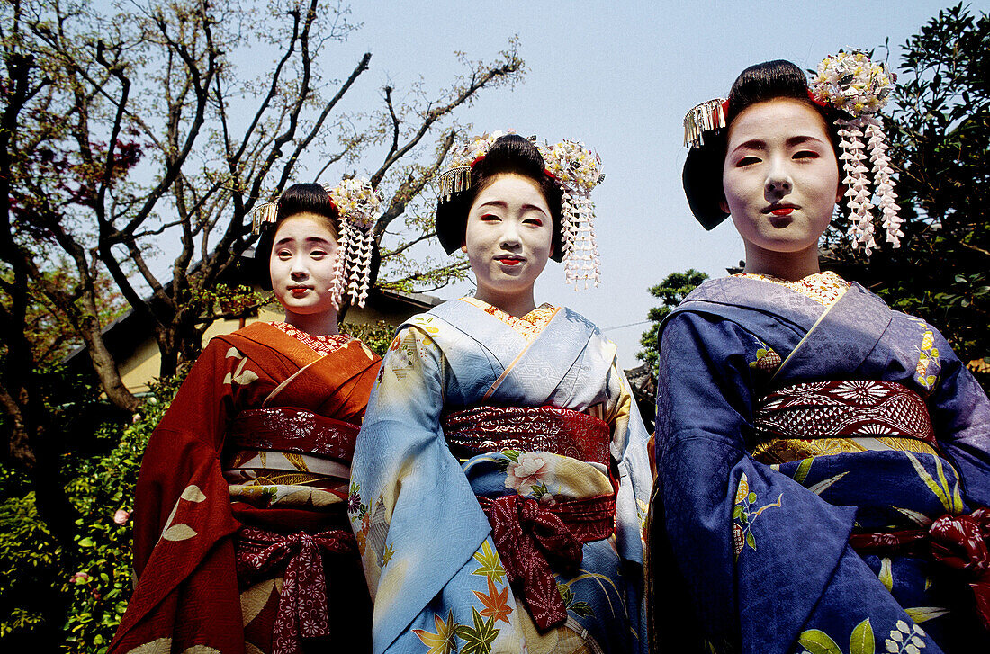Maiko (geisha apprentice). City of Kyoto, Japan