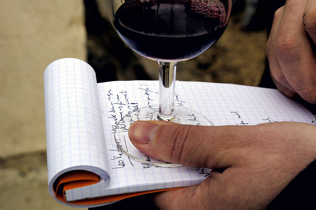 Wine tasting in Maison de la Truffe et du Vin du Luberon, Ménerbes. Luberon region, Vaucluse. Provence, France
