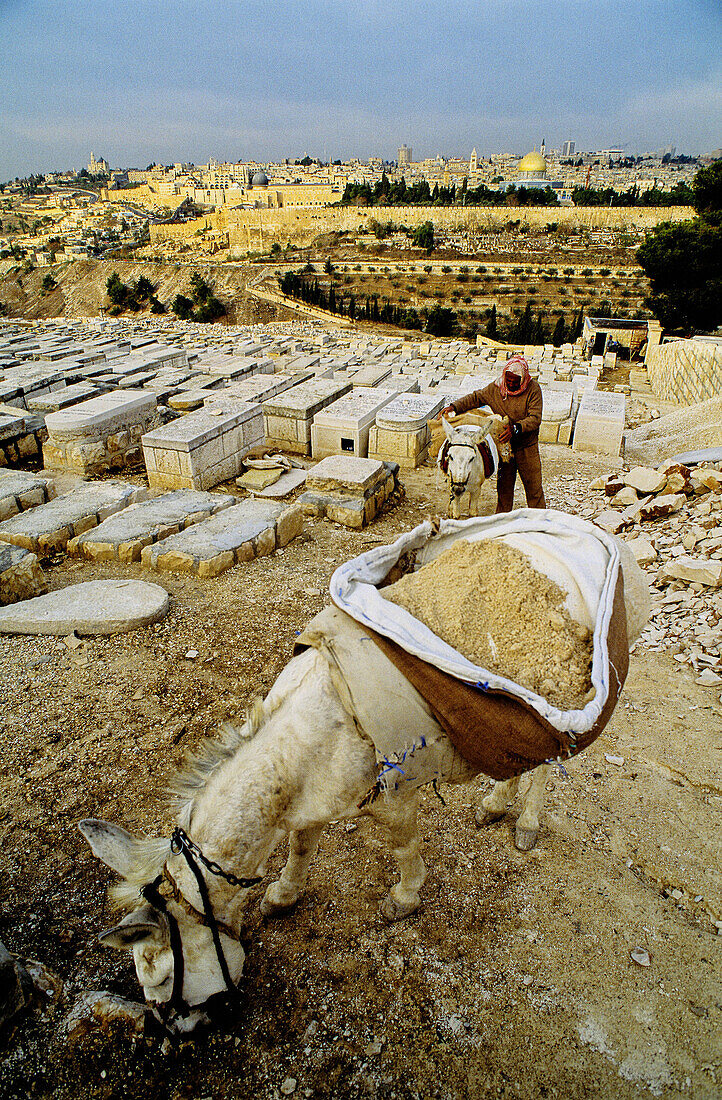 Overview on the city from the Mount of Olives cemetery. Jerusalem, Israel