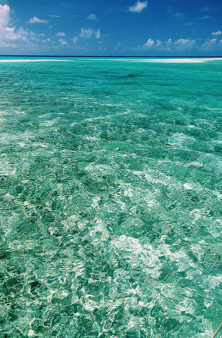 Martinique island. French West Indies, Caribbean