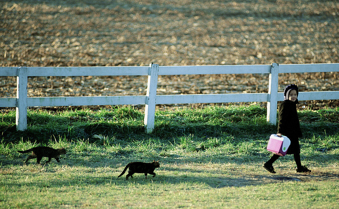 Amish girl going to school with her cats. Pennsylvania, USA