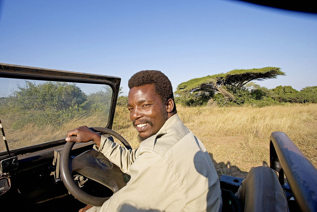 Park ranger driving. Game drive in the Phinda private park. Kwazulu-Natal province. South Africa
