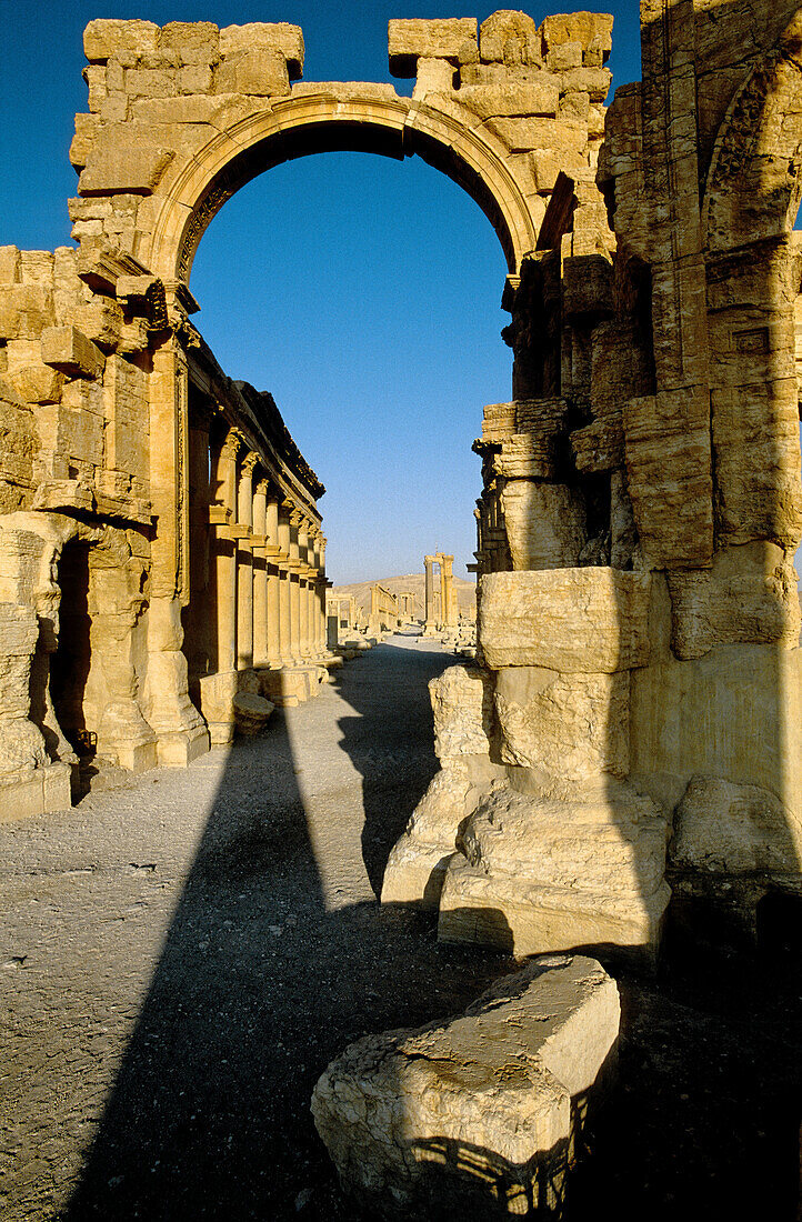 Ruins of the ancient roman city in the Palmyra oasis. Syria