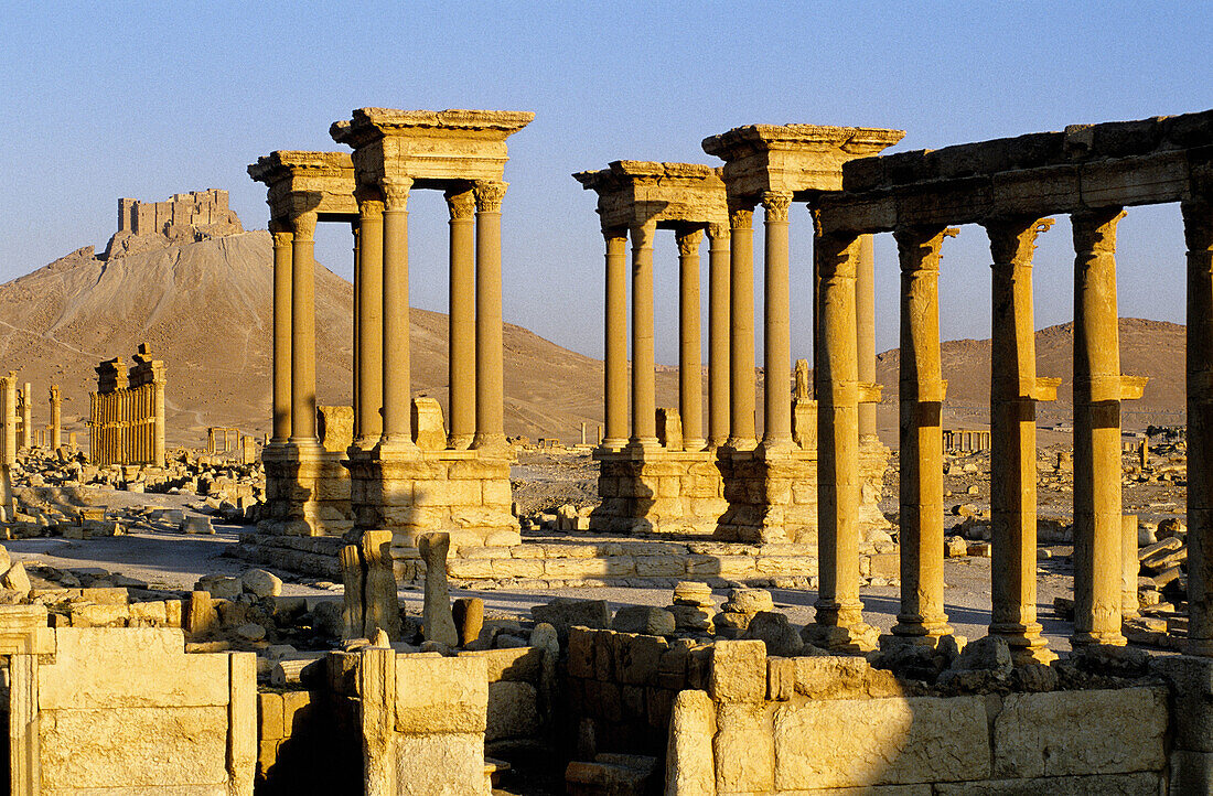 The Great columnade and the arabic castle at back. Ruins of the ancient roman city in the Palmyra oasis. Syria