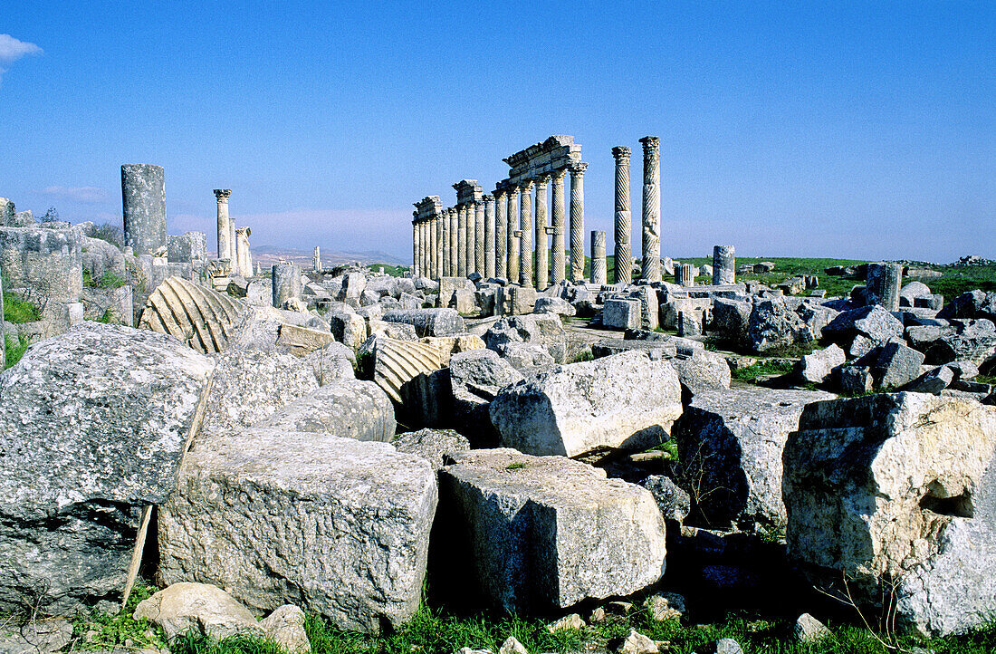 Ruins of the ancient roman city of Apamee. Syria