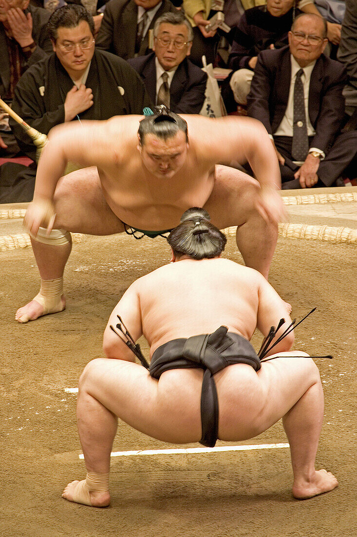 May Sumo tournament in Ryogoku kokugikan. Asakusa.Tokyo. Japan
