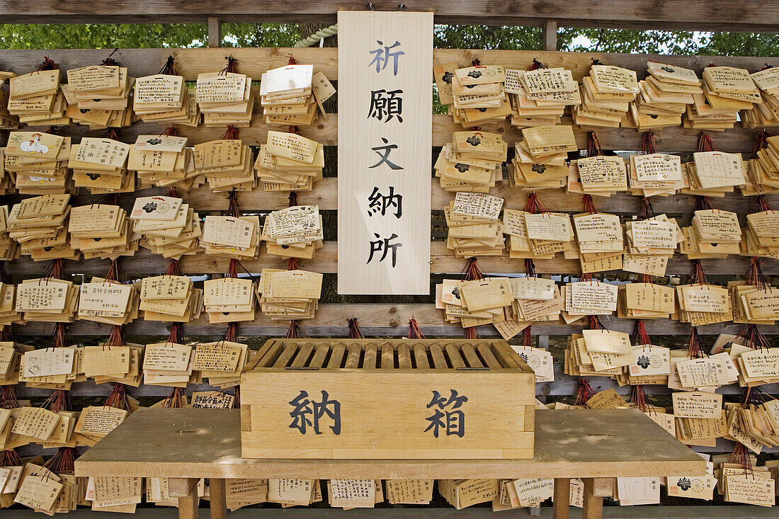 Wooden omikuji (random fortunes at Shinto shrines and Buddhist temples in Japan) for sale in Meiji-Jingu Shinto shrine on Sunday, Tokyo. Japan
