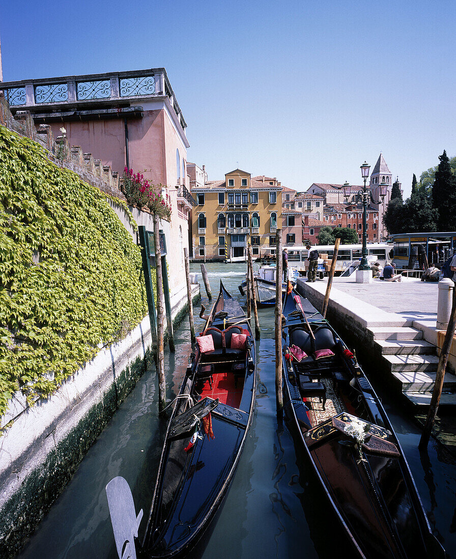 Grand Canal with gondolas. Venice. Italy