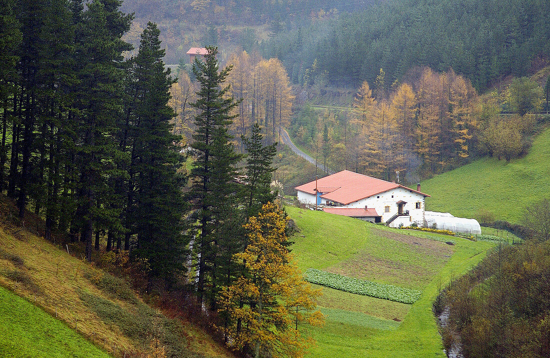 Country house. Barrendiola. Brinkola. Legazpi, Guipúzcoa. Euskadi, Spain