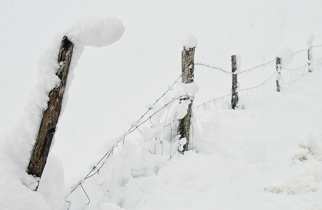 Schnee und alter Zaun. Legazpi. Guipúzcoa, Spanien