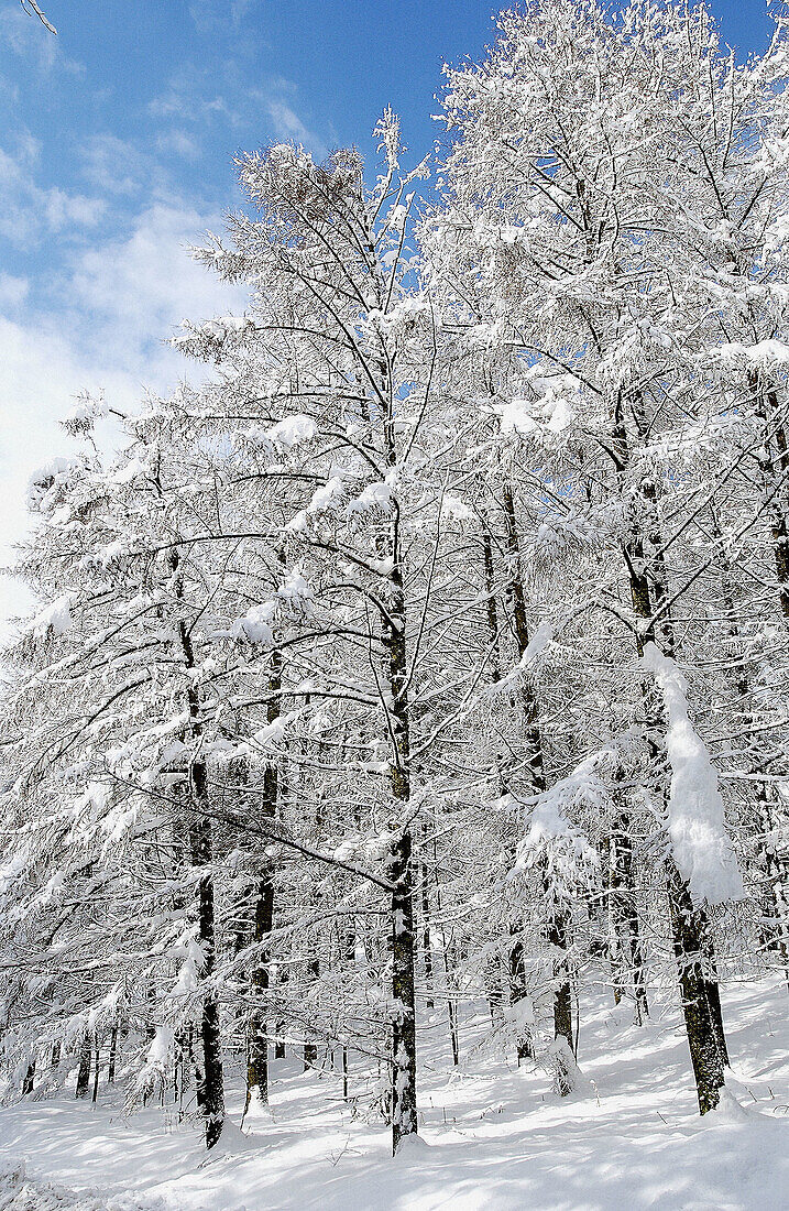 Sierra de Aitzkorri im Winter. Guipúzcoa, Spanien