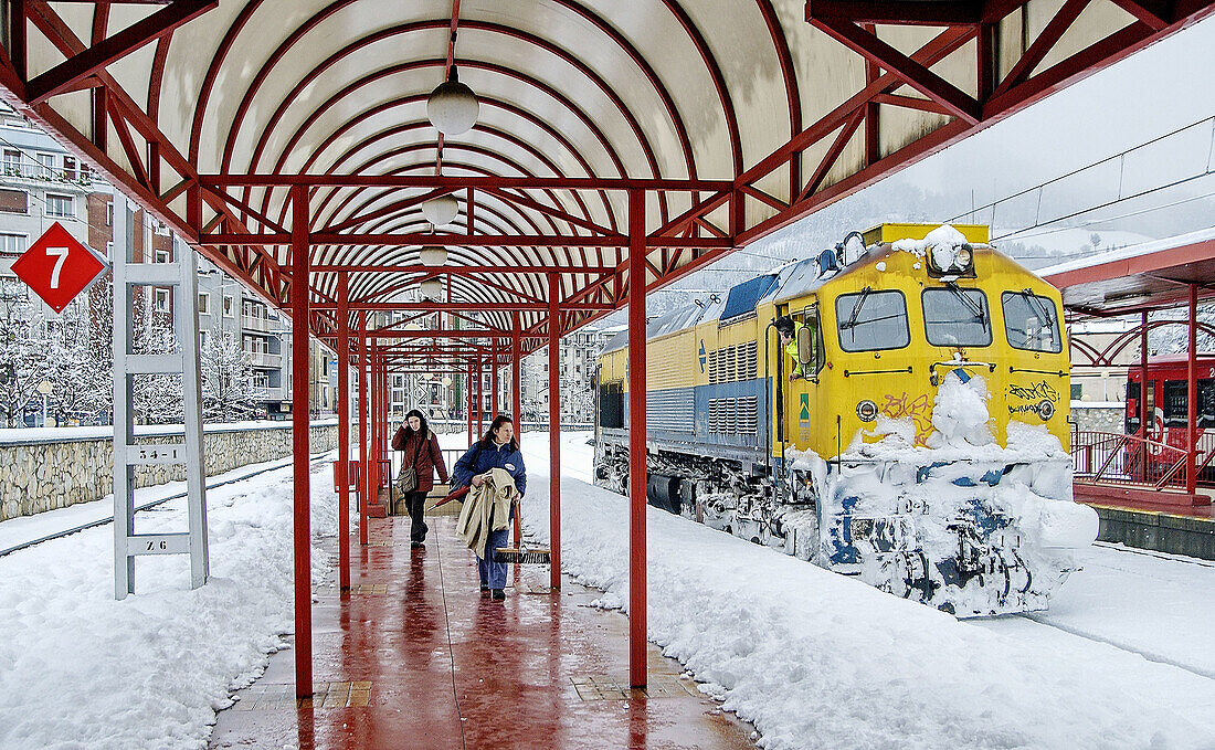 Locomotive at train station in winter. Zumárraga. Guipúzcoa, Spain