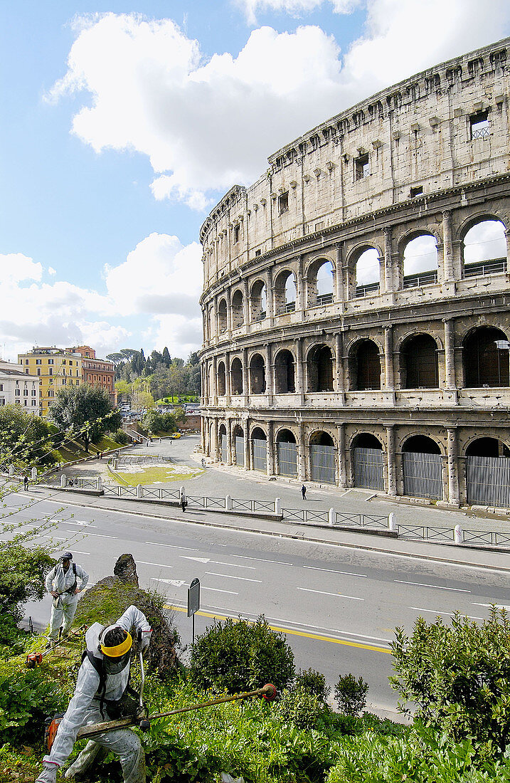 Colosseum. Rome. Italy