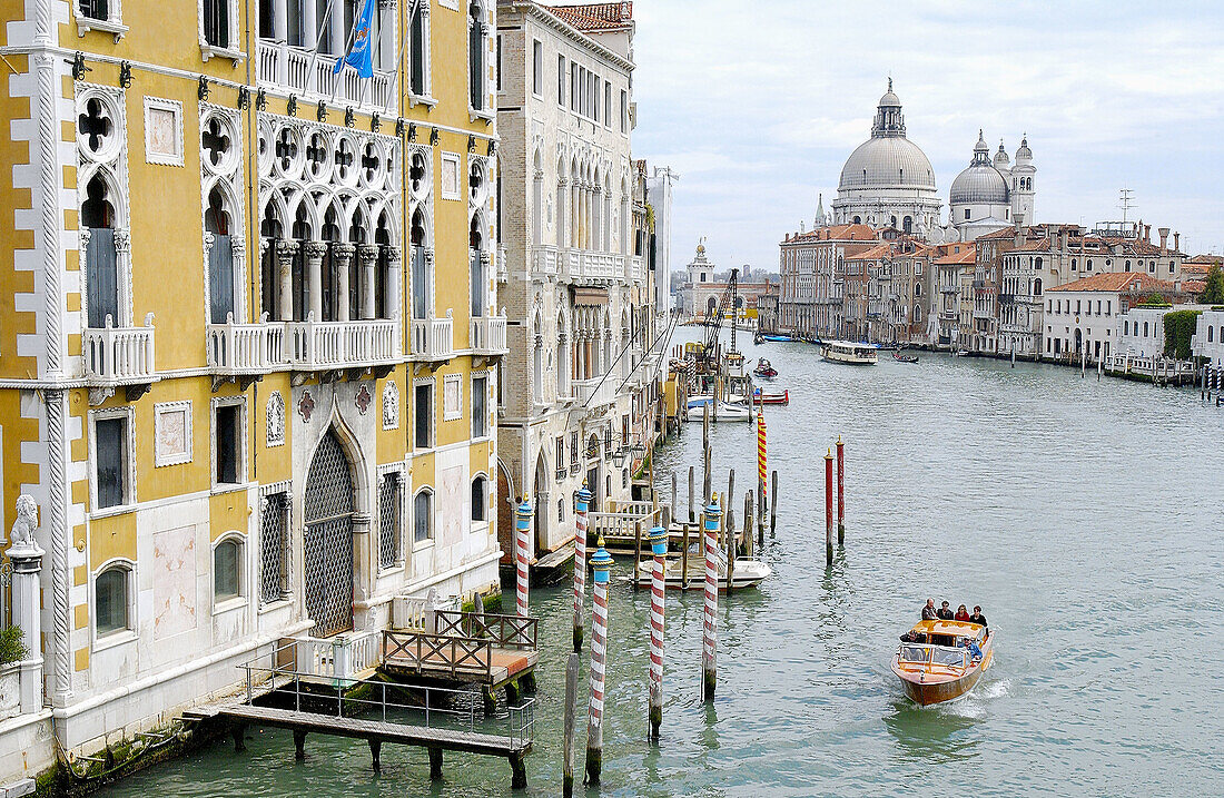 Canal Grande und Santa Maria della Salute im Hintergrund. Venedig. Venetien, Italien