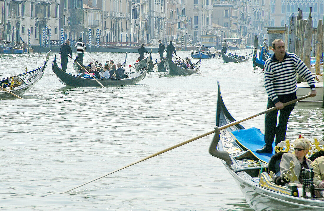 Großer Kanal. Venedig. Venetien, Italien