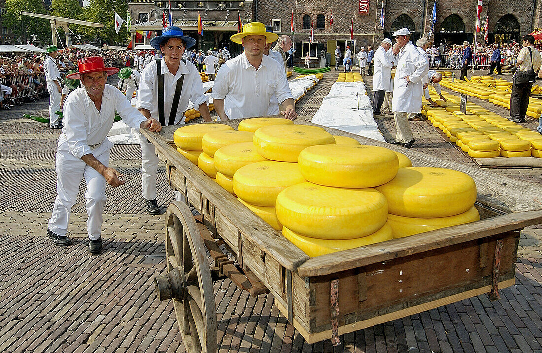 Käsemarkt, De Waag. Alkmaar. Niederlande