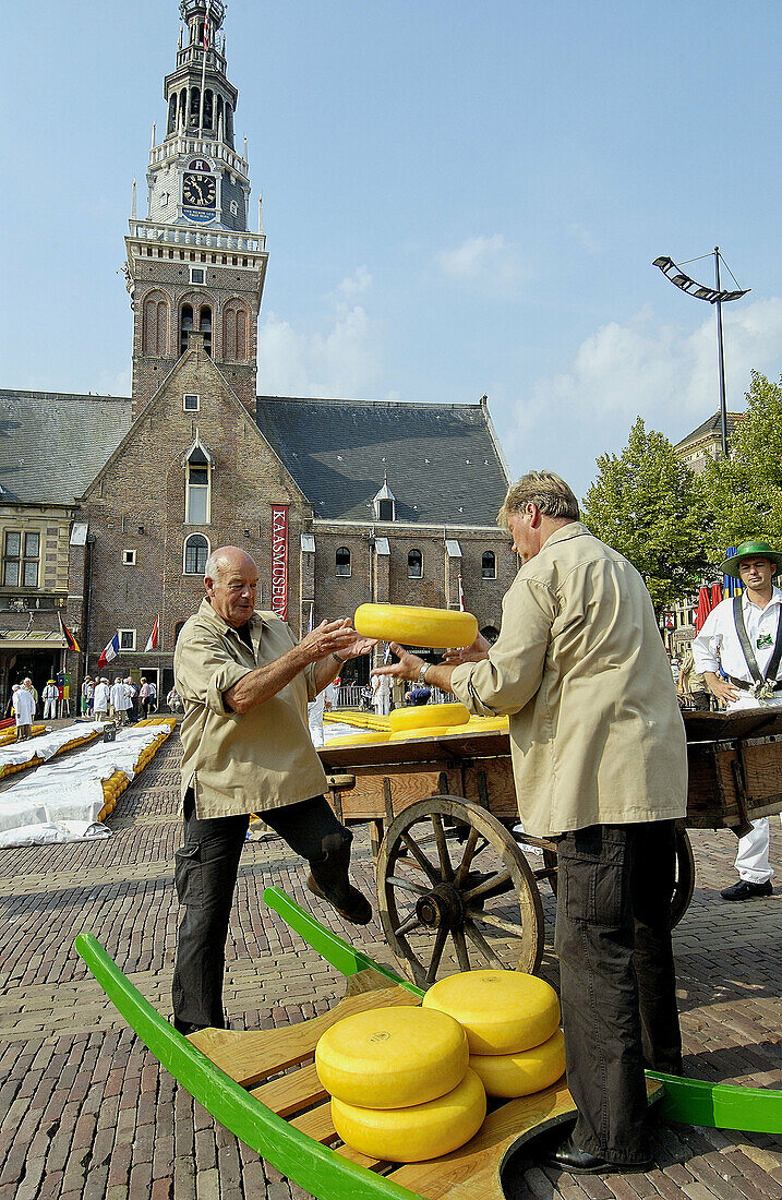 Käsemarkt, De Waag. Alkmaar. Niederlande