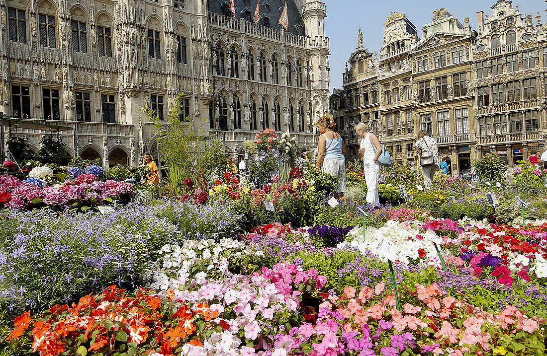 Großer Platz, Grote Markt. Brüssel. Belgien