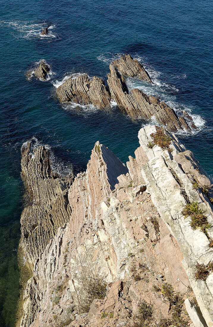 Flysch. Algorri. Zumaia. Gipuzkoa. Euskadi. Spain.