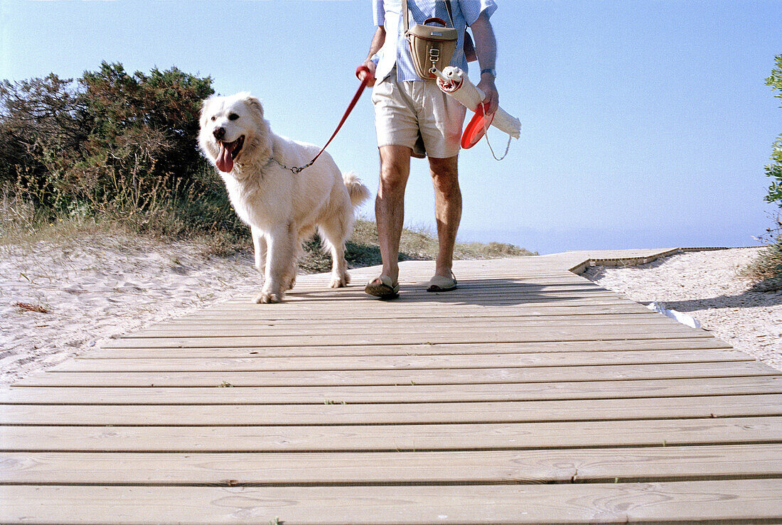  Adult, Adults, Animal, Animals, Anonymous, Beach, Beaches, Boardwalk, Boardwalks, Carry, Carrying, Color, Colour, Contemporary, Daytime, Dog, Dogs, Exterior, Holiday, Holidays, Horizontal, Human, Leash, Leashes, Leisure, Male, Man, Men, Men only, One, On