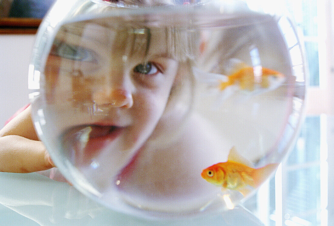 aucasians, Child, Children, Close up, Close-up, Closeup, Color, Colour, Contemporary, Curiosity, Curious, Distorted, Distortion, Face, Faces, Female, Fish, Fishbowl, Fishbowls, Fishes, Funny, Girl, Gi