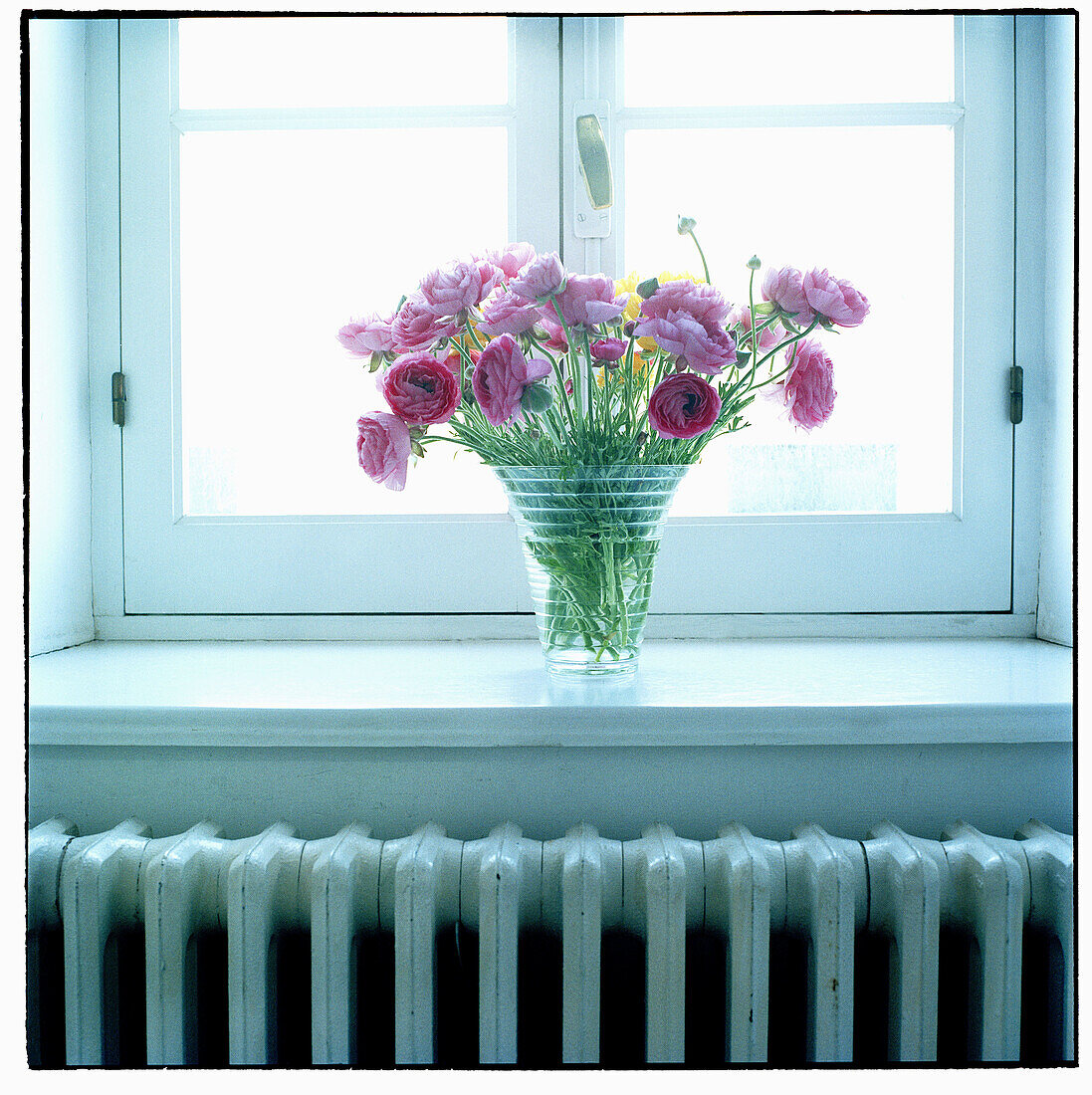 Fenster mit Blumen