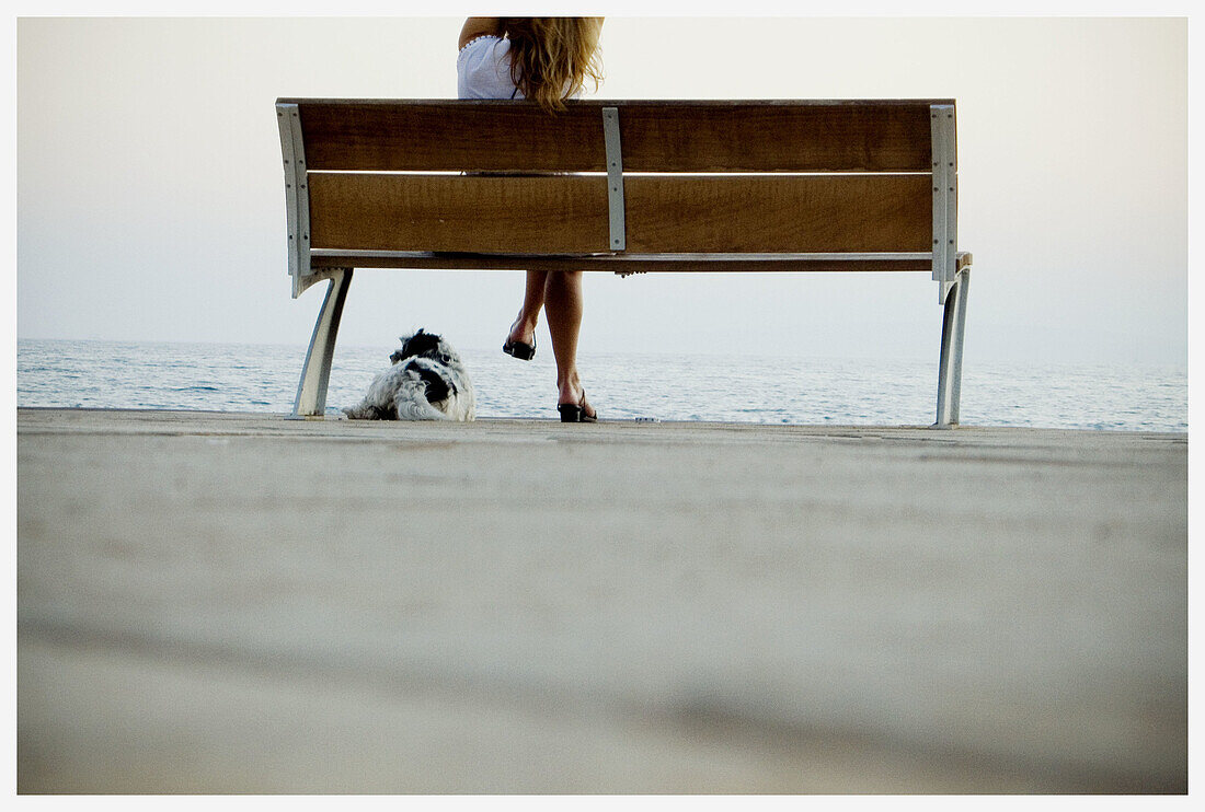  Adult, Adults, Animal, Animals, Anonymous, Back view, Bench, Benches, Coast, Coastal, Color, Colour, Companion, Companions, Contemporary, Daytime, Dog, Dogs, Exterior, Female, Horizon, Horizons, Human, Leisure, Lying down, Mate, Mates, One, One animal, O