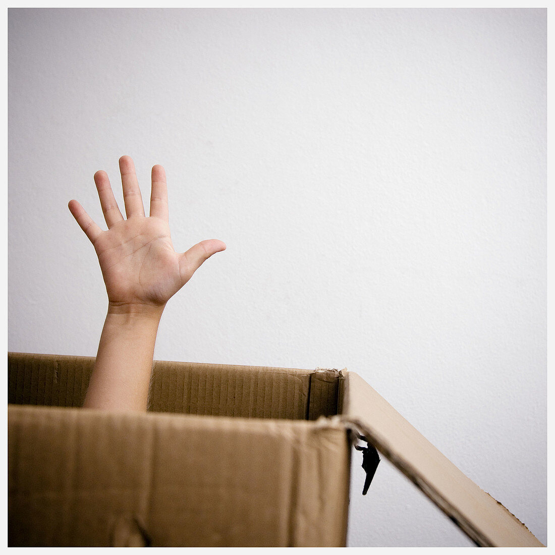  Attracting attention, Box, Boxes, Calling for help, Cardboard, Caught, Child, Children, Color, Colour, Contemporary, Gesture, Gestures, Gesturing, Hand, Hands, Human, Indoor, Indoors, Inside, Interior, Kid, Kids, One, One person, Open, Open hand, Open ha