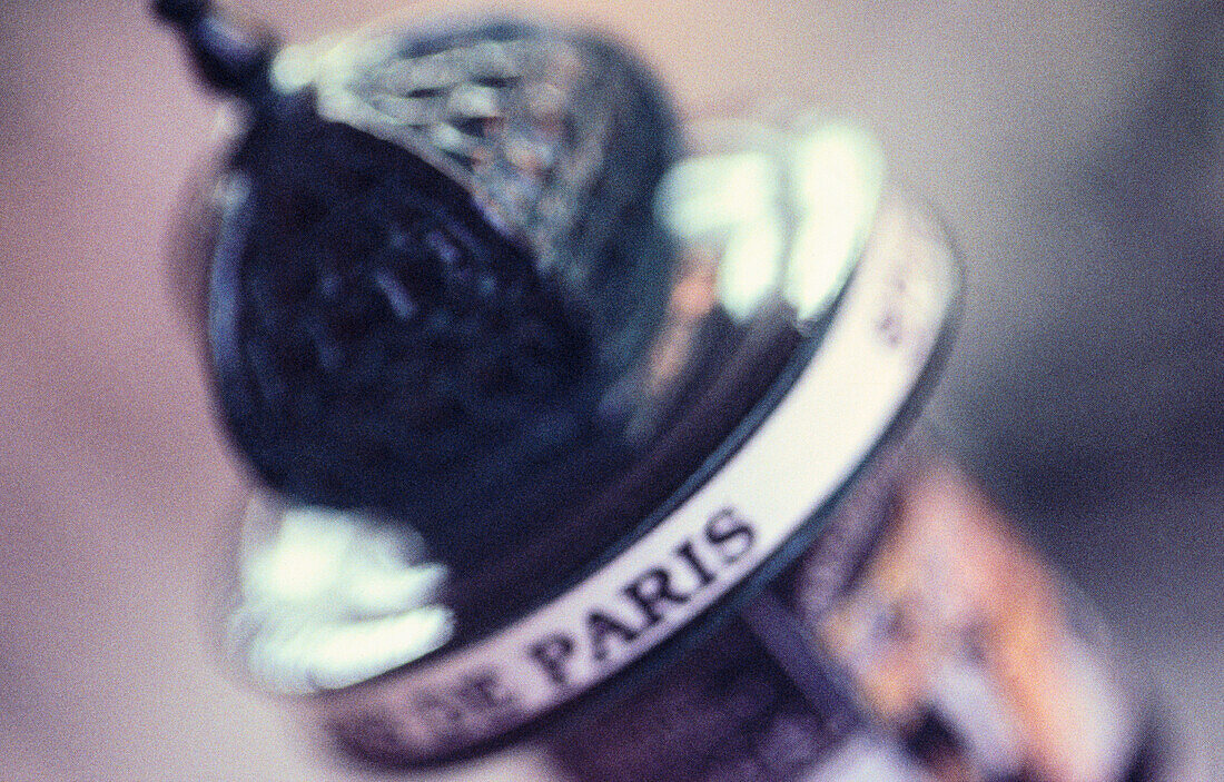 Souvenir from Paris