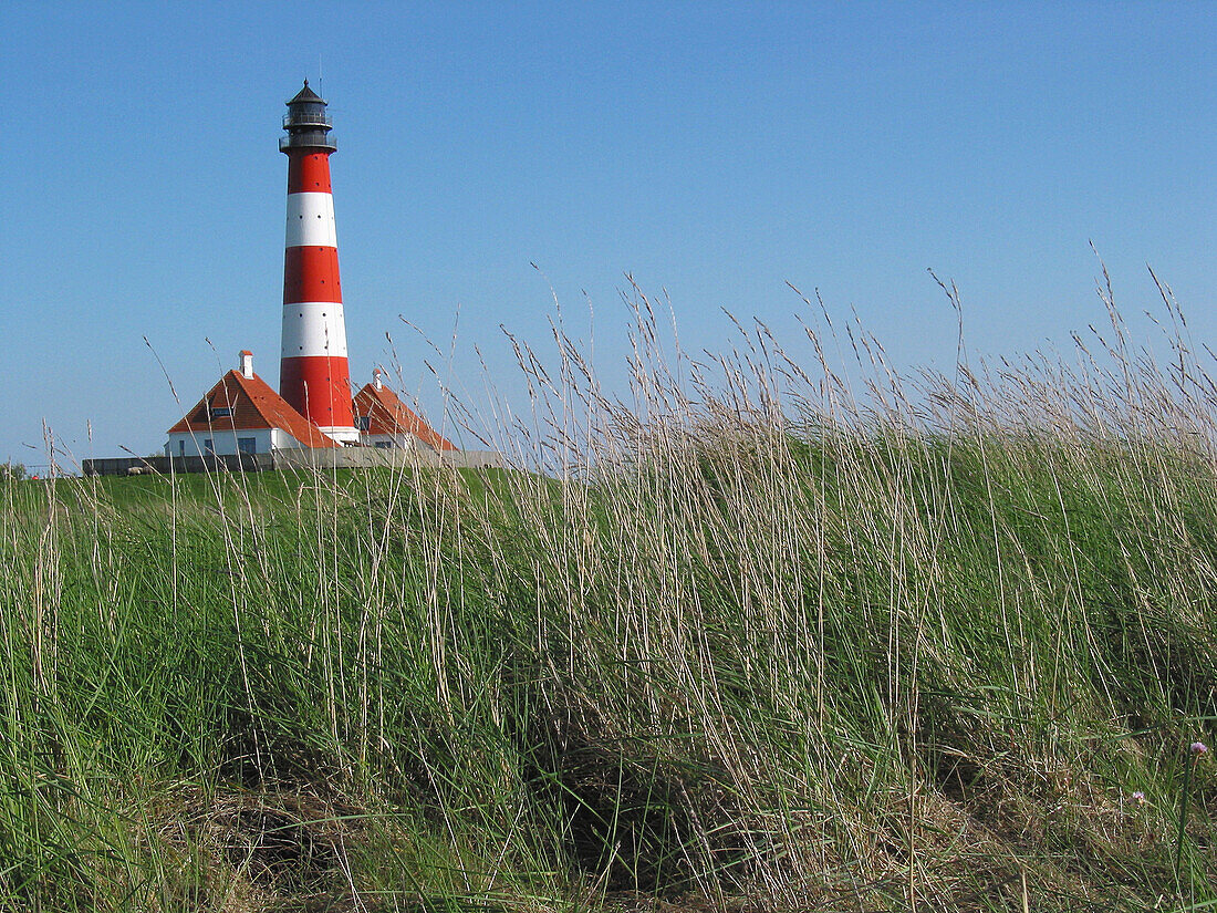 Lighthouse, salt meadow, tide. Westerhever, Schleswig-Holstein Wadden Sea National Park, Germany