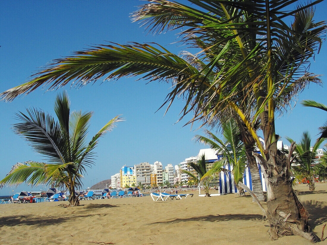 Playa de las Canteras, Las Palmas, Gran Canaria, Canary Islands, Spain