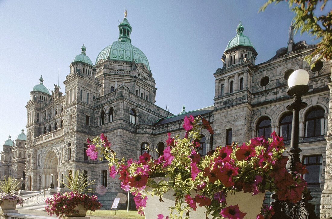 Petunias before Parliament building. Victoria. British Columbia. Canada