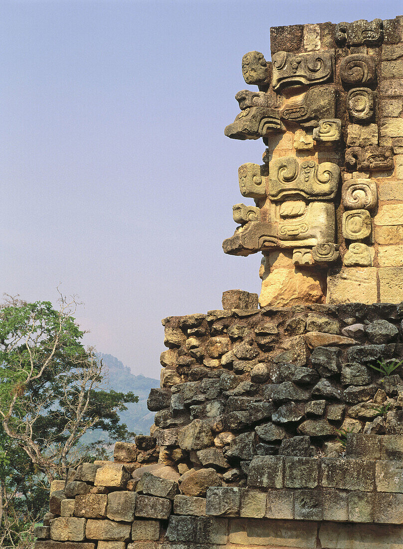 Temple detail. Mayan ruins of Copan. Honduras