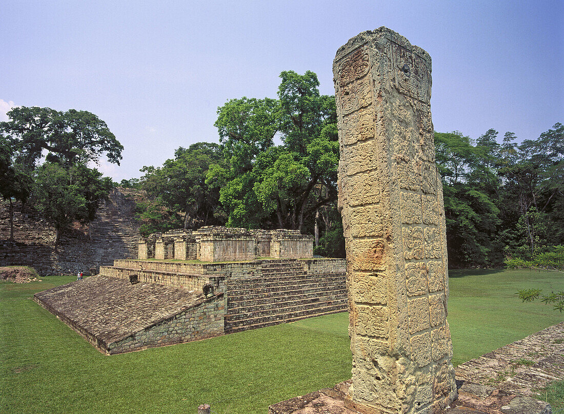 The Great Plaza and Ball Court. Mayan ruins of Copan. Honduras