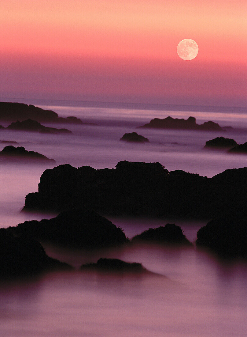 Offshore rocks at dusk, moon visible, Pacific Grove. California. USA.