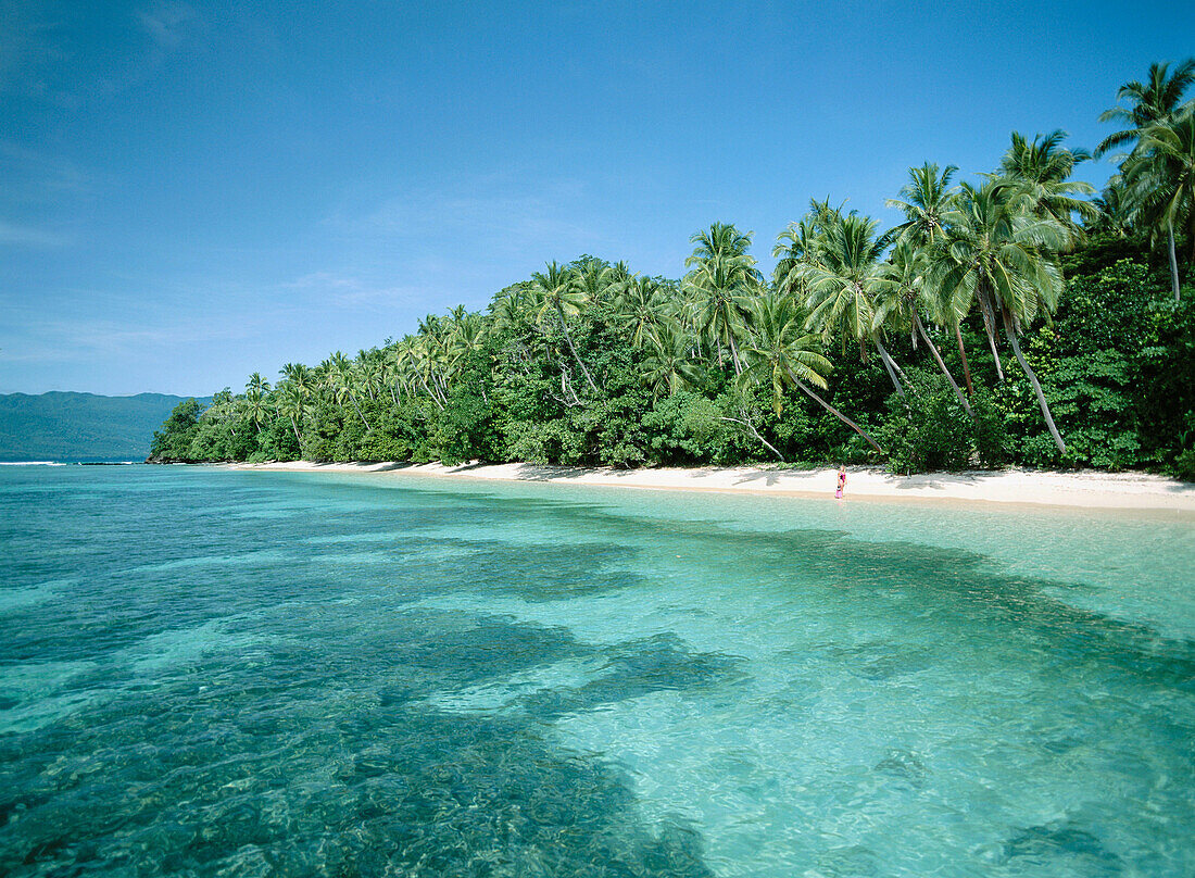 Remote beach on Vanua Levu Island, Fiji Islands.