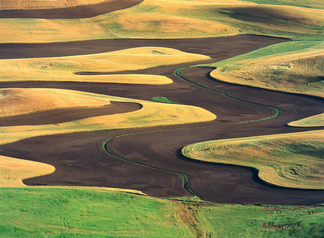 Aerial view of lentil, barley and wheatfields. Eastern Washington. USA.