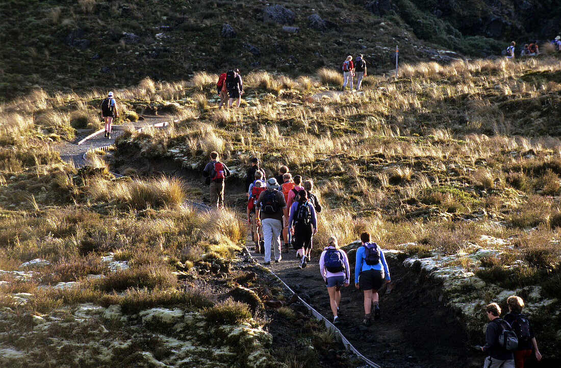 Wanderer gehen entlang der Tongariro Crossing im Tongariro National Park, Nordinsel, Neuseeland