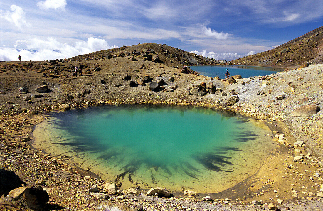 Emerald Lakes, Tongariro Crossing, Tongariro National Park, North Island, New Zealand