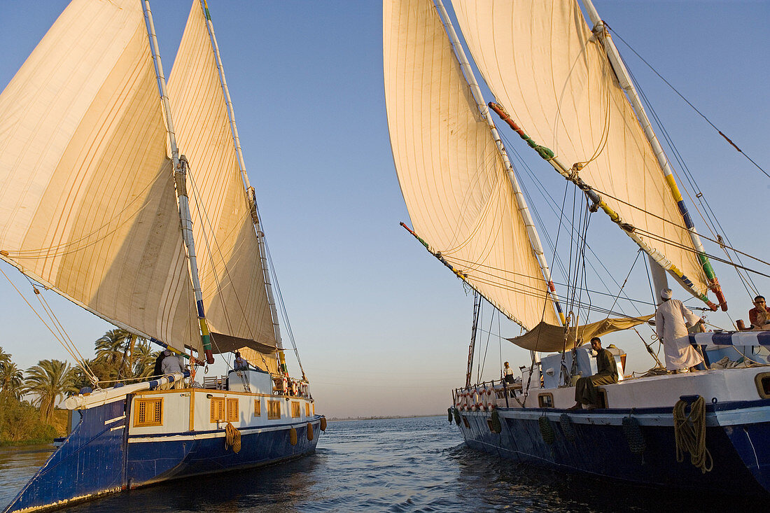 Twin masted large feluccas known as sandals . They were used formerly to carry stones and have been refurbished with a deck and cabins for sailing cruises on river Nile, south or north of Luxor. Upper. Egypt