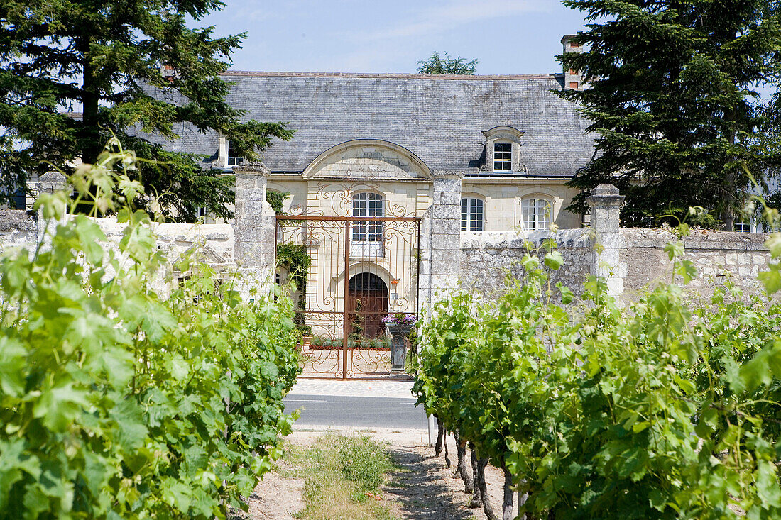 Manoir de Restigné, Restigné. Indre-et-Loire, France